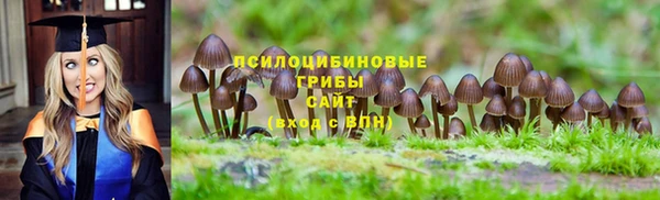 a pvp Белокуриха