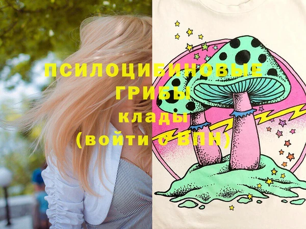 прущие крисы Бородино