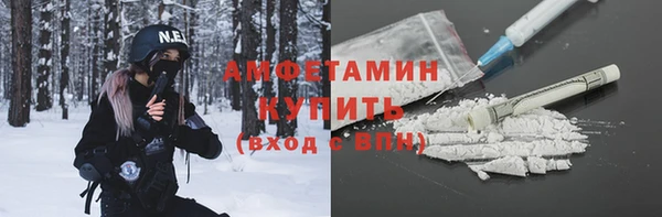 прущие крисы Бородино