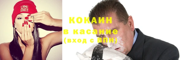 spice Богородицк
