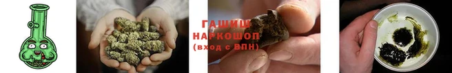 прущие крисы Бородино