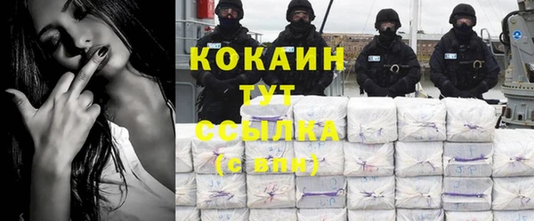 прущие крисы Бородино