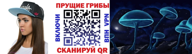 ссылка на мегу ТОР  где можно купить   Воркута  Галлюциногенные грибы ЛСД 