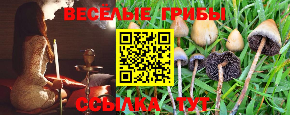 Воркута  Псилоцибиновые грибы MAGIC MUSHROOMS  Вход с VPN 